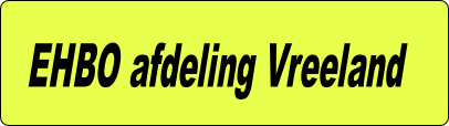 EHBO afdeling Vreeland   

